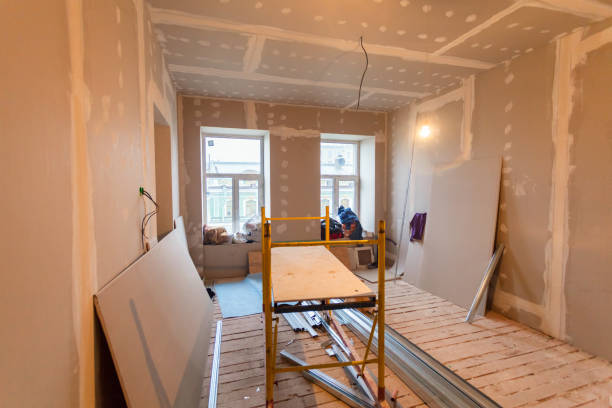 Professional Mold Removal in Hyde Park, PA